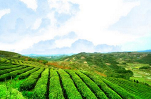 冶金行業(yè)